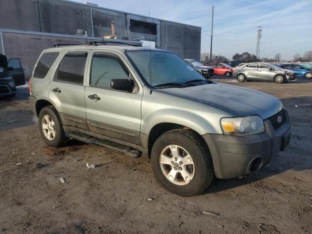 2005 Ford Escape XLT