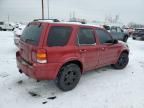 2007 Ford Escape Limited