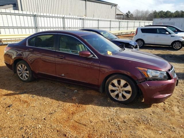 2009 Honda Accord EXL