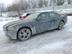 Lotes con ofertas a la venta en subasta: 2013 Dodge Charger SXT