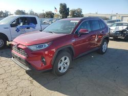 Salvage cars for sale at Martinez, CA auction: 2020 Toyota Rav4 XLE