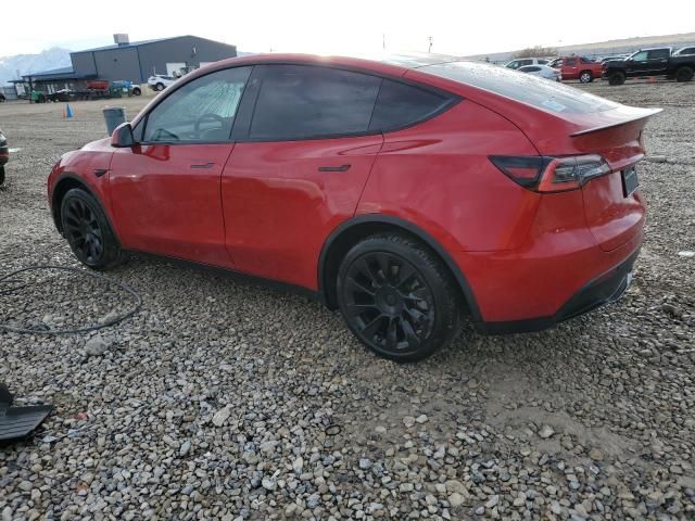 2020 Tesla Model Y