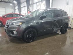 Salvage cars for sale at Ham Lake, MN auction: 2019 Ford Escape SE