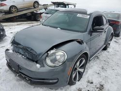 Salvage cars for sale at Brighton, CO auction: 2013 Volkswagen Beetle Turbo