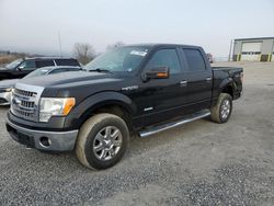 Salvage cars for sale from Copart Chambersburg, PA: 2013 Ford F150 Supercrew