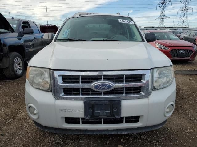 2011 Ford Escape XLT