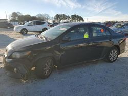 Toyota salvage cars for sale: 2010 Toyota Corolla Base