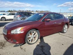 2010 Nissan Maxima S en venta en Pennsburg, PA