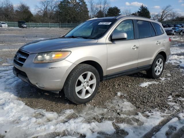 2007 Hyundai Santa FE SE