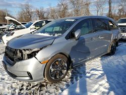 Salvage cars for sale at Marlboro, NY auction: 2024 Honda Odyssey Elite