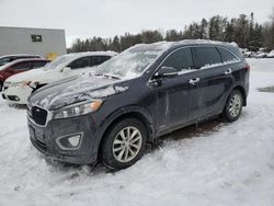 2016 KIA Sorento LX en venta en Cookstown, ON