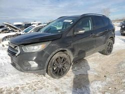 Salvage cars for sale at Kansas City, KS auction: 2017 Ford Escape Titanium