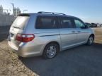 2005 Honda Odyssey EXL