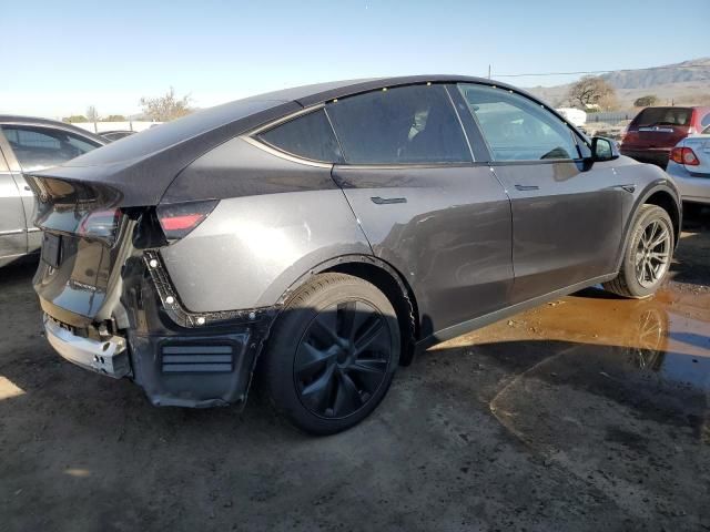 2025 Tesla Model Y