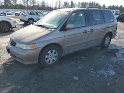 Salvage cars for sale from Copart Finksburg, MD: 2003 Honda Odyssey EXL