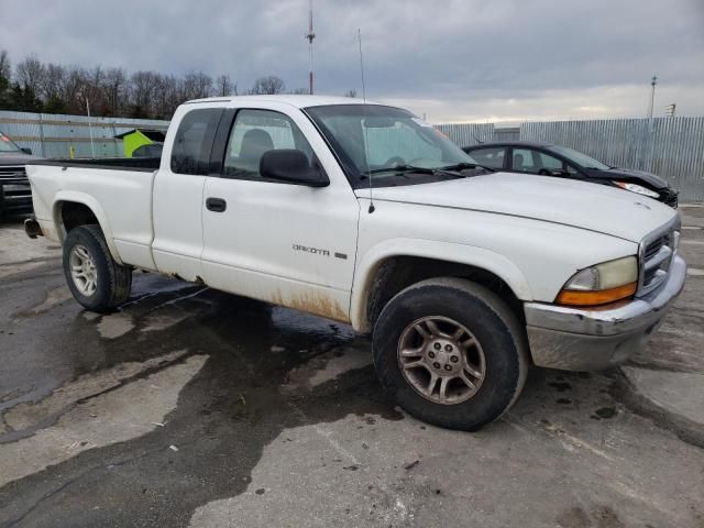 2001 Dodge Dakota