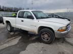 2001 Dodge Dakota