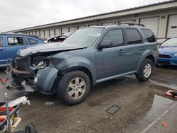 Salvage cars for sale at Louisville, KY auction: 2010 Mercury Mariner