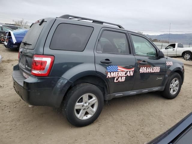 2009 Ford Escape Hybrid