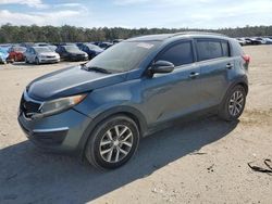 Salvage cars for sale at Harleyville, SC auction: 2014 KIA Sportage Base