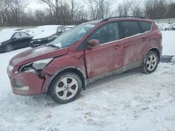 Salvage cars for sale from Copart Ellwood City, PA: 2014 Ford Escape SE