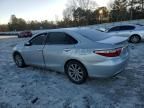 2015 Toyota Camry XSE