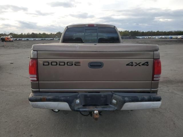 2001 Dodge Dakota Quattro