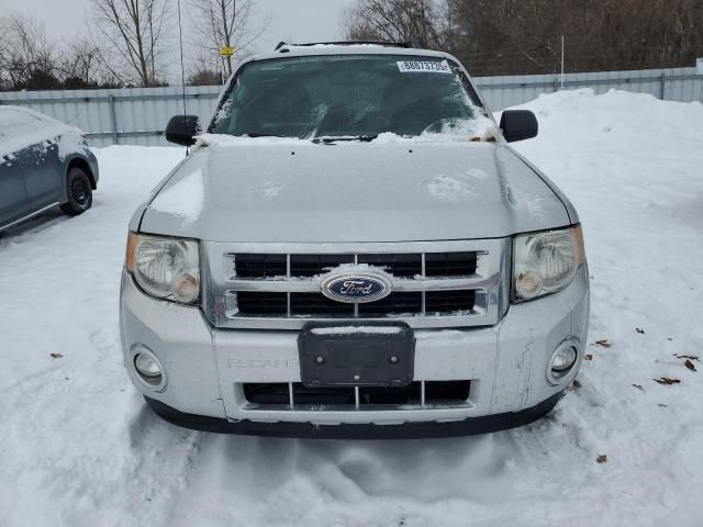 2012 Ford Escape XLT