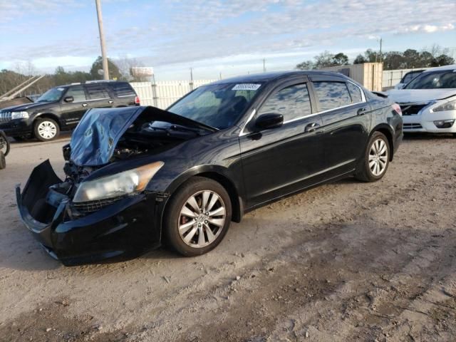 2011 Honda Accord EXL