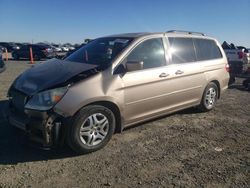 Salvage cars for sale at Antelope, CA auction: 2006 Honda Odyssey EXL