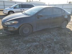 Salvage cars for sale at Mercedes, TX auction: 2013 Dodge Dart SE