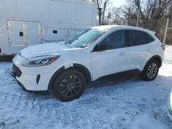 Ford salvage cars for sale: 2022 Ford Escape SE