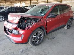 Salvage cars for sale at Phoenix, AZ auction: 2022 Ford Escape SE