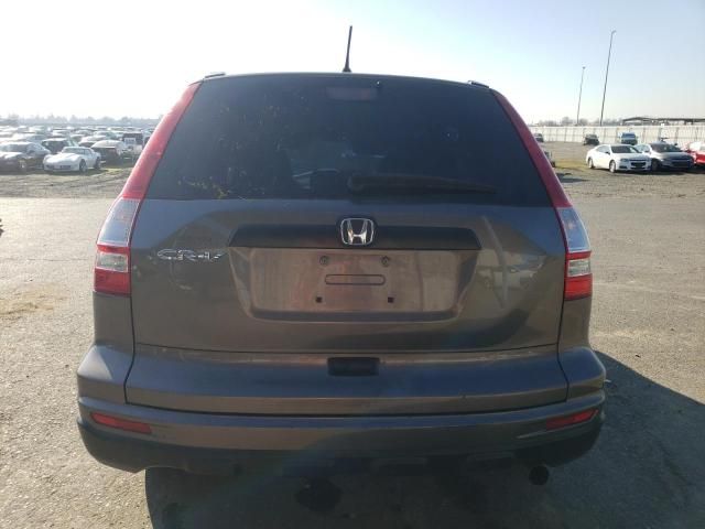 2010 Honda CR-V LX