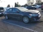 2013 Ford Fusion Titanium Phev