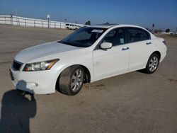 Honda salvage cars for sale: 2010 Honda Accord EXL