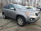 2011 KIA Sorento Base