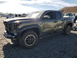 Salvage cars for sale at Colton, CA auction: 2024 Toyota Tacoma Double Cab