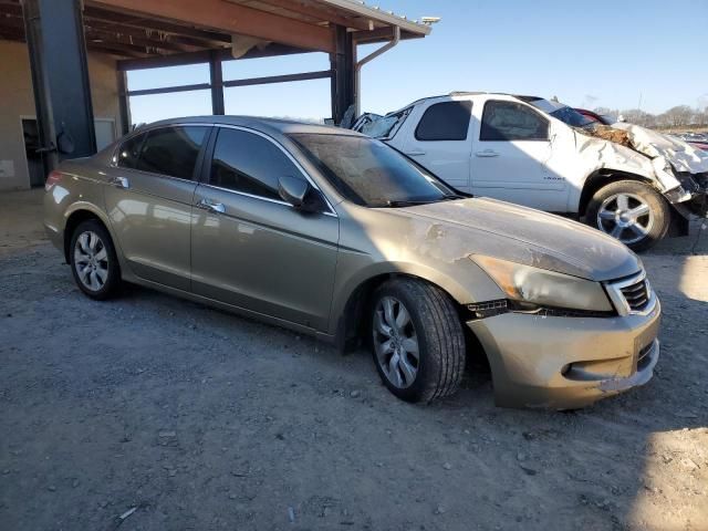 2010 Honda Accord EXL