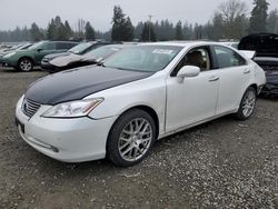 Lexus salvage cars for sale: 2008 Lexus ES 350