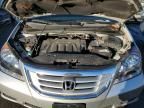 2008 Honda Odyssey EXL