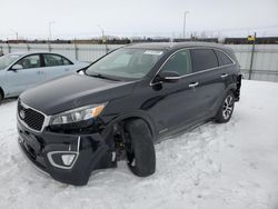 KIA salvage cars for sale: 2017 KIA Sorento EX