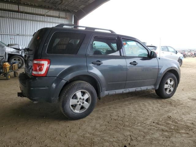 2009 Ford Escape XLT