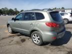 2007 Hyundai Santa FE SE