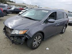 Honda Vehiculos salvage en venta: 2016 Honda Odyssey EXL