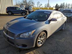 Salvage cars for sale at auction: 2010 Nissan Maxima S