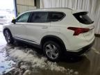 2023 Hyundai Santa FE SEL Premium