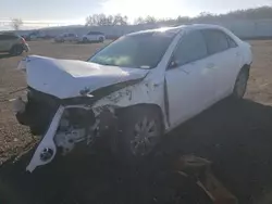 Vehiculos salvage en venta de Copart Anderson, CA: 2008 Toyota Camry Hybrid