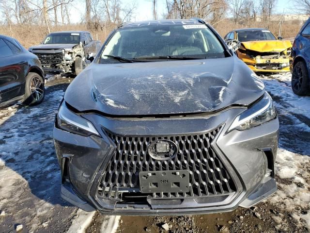 2024 Lexus NX 350 Base