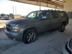 Salvage cars for sale at Homestead, FL auction: 2009 Chevrolet Suburban K1500 LT